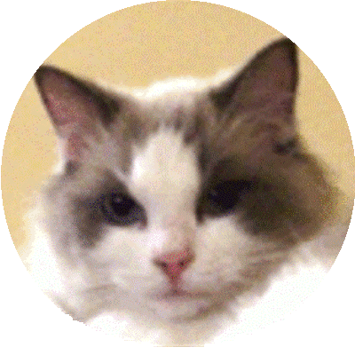 Foto della gatto Louise of Chatandolls 